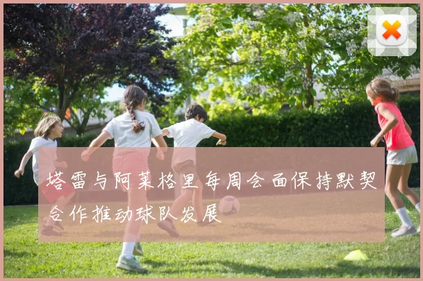 塔雷与阿莱格里每周会面保持默契合作推动球队发展