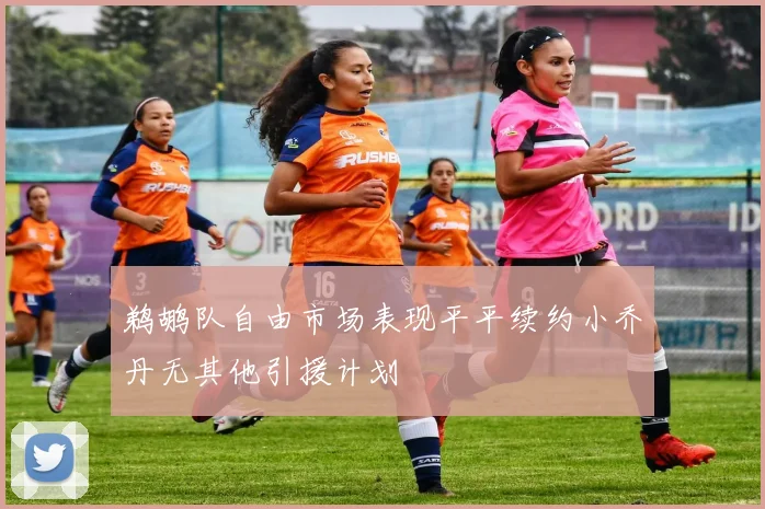鹈鹕队自由市场表现平平续约小乔丹无其他引援计划